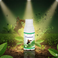 Chokidar – Illiyon Ka Khatma, Fasal Ki Suraksha Ka Bharosa